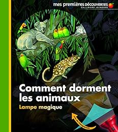 Comment dorment les animaux