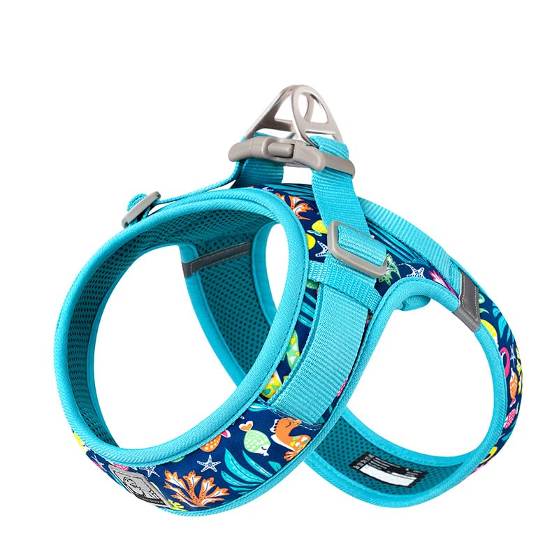 WINHYEPET Truelove Dog Harness Soft Mesh Reflective Breathable Step-In Dog Harness,Easy Adjustment Harness with Safety Buckle for Extra Small and Small Dogs, Vest Harness TLH3013(