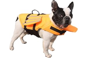 GabeFish Dog Life Vest with Chin Float, Angel Wings Cat Life Vests for Swimming, Pets Safety Swimsuit with Reflective Stripe Orange Small