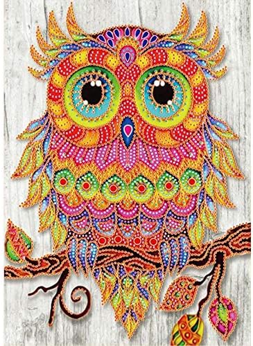 POPLY 5d diamond painting,Special Shaped Diamond Painting DIY 5D Partial Drill Cross Stitch Kits Crystal R with 5d diamond painting kits cross stitch kits