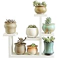 Exttlliy Wooden DIY Mini Tabletop Plant Stand Multi-Layer Concise Desktop Planter Holder for Home Office Decorative (White)