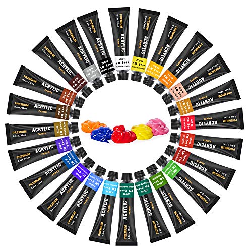 Acrylic Paint Brush Set,60 Piece Professional Painting Set,Includes 24 Acrylic Paints,30 Pcs Paint Brushes with Case,2 Paint Knife,2 Sponge,1 Palette for Oil,for Artists,Students,Beginner