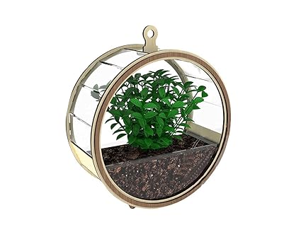 Wall Hanging Flowers Vector Pot Round Wooden Glass Wall Planter for Flowers and Plants Home Decoration, Round Flower Pot Wall D