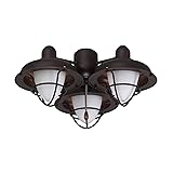 Emerson Boardwalk Cage LED Ceiling Fan Light Fixture