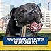 Bullibone Nylon Dog Chew Toy Nylon Bone - Improves Dental Hygiene, Easy to Grip Bottom, and Permeated with Flavor (Peanut Butter, XL - 2 Pack)