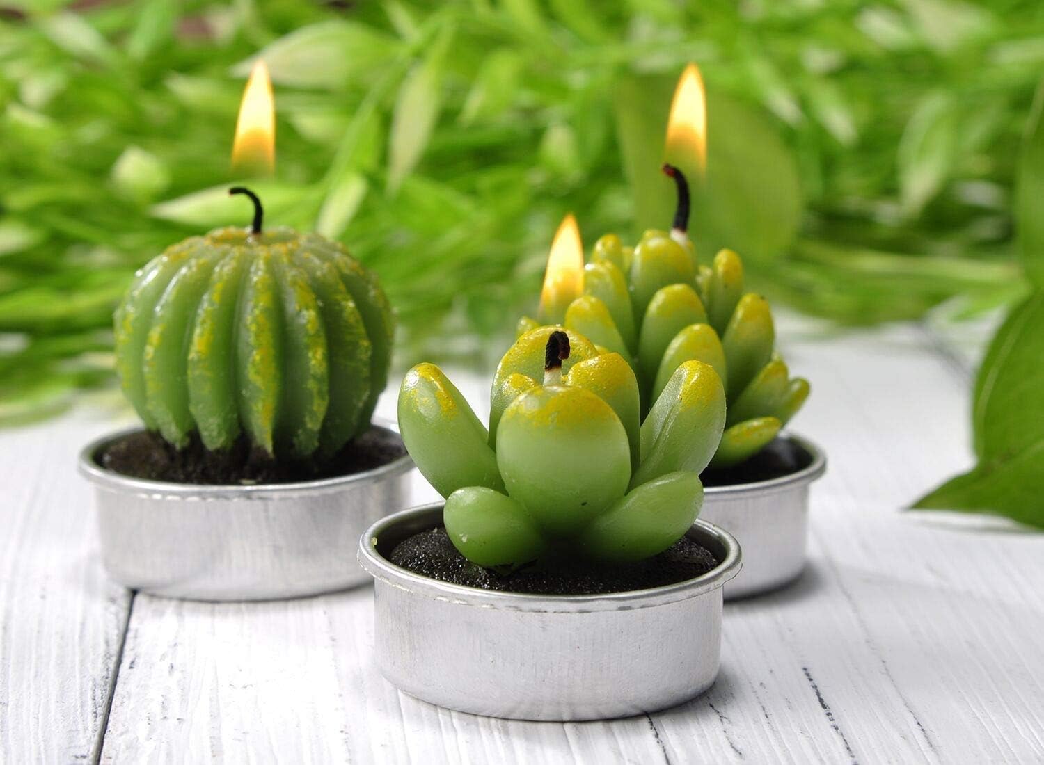 LASENTEUR Cactus Tealight Candles Handmade Delicate Succulent Cactus Candles for Party Wedding, Home Decoration Gifts - Image 4