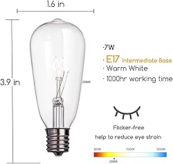 10 Pack Edison Replacement Light Bulbs,7-Watt E17