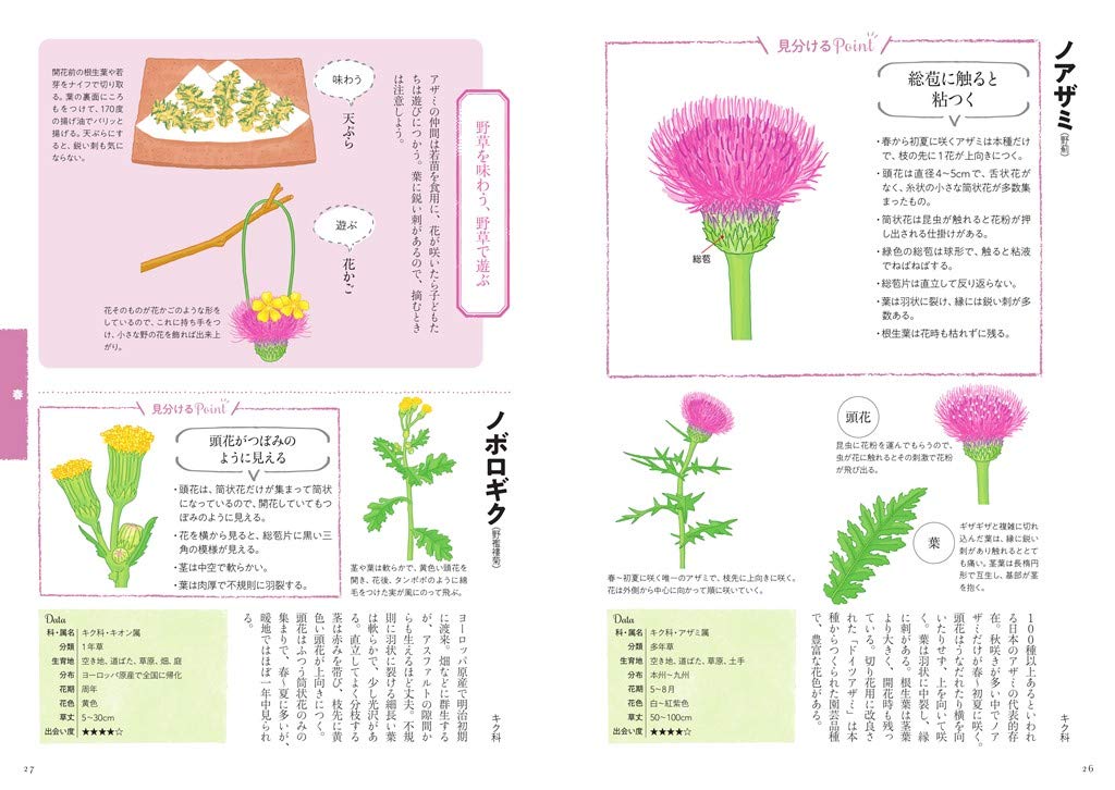 道草の解剖図鑑 金田初代 本 通販 Amazon