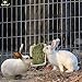 Rabbit Hay Feeder Rack --- Mess-Free Food Dispenser - Guarantees Clean and Dry Hay, Alfalfa and other Grasses - Also Ideal for Guinea Pigs, Chinchillas, Hamsters - Attaches to any cage Conveniently