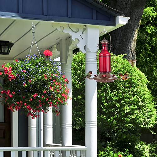 Bolite 18004 Hummingbird Feeder Vintage Red Wine Bottle