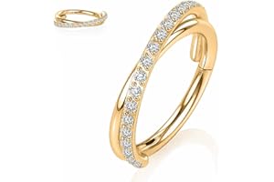 Yrogcu 20G 18G 16G 14G Single/Double Hoop Stainless-Steel Seamless-Hinged-Piercing Segment-Clicker Nose-Ring-Hoop : Diameter 6mm 8mm 10mm 12mm Cartilage Earrings