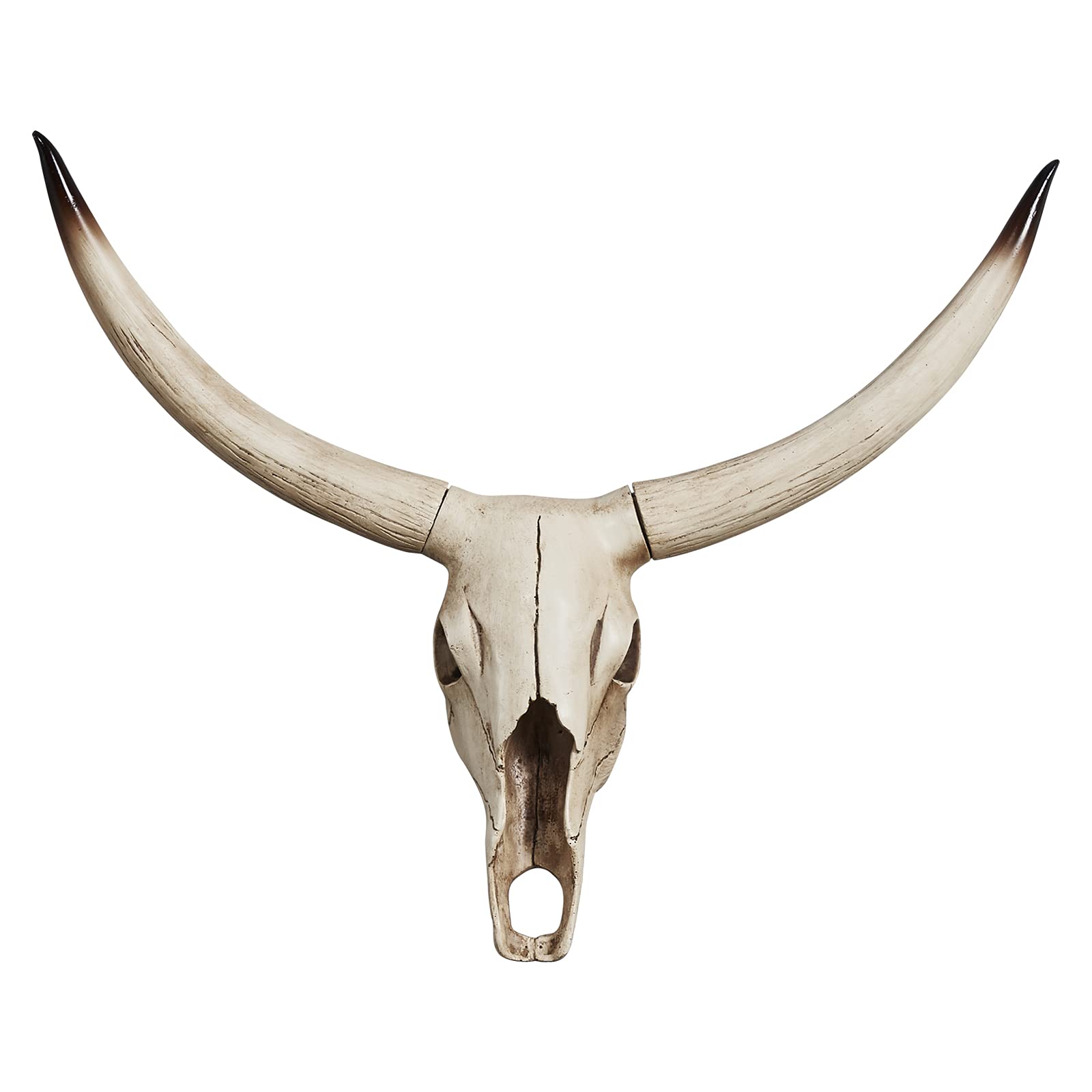Photo 1 of Notakia Gaobei Long Horn Cow Skull Wall Hanging Longhorn Steer Southwest Bull Skull Sculpture Resin Decoration
