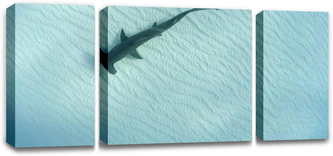 CCArtist Hammerhead Shark Sharks and Pictures Wall Decor Print on Canvas Modern Artwork Living Room Bedroom Painting Art Wall