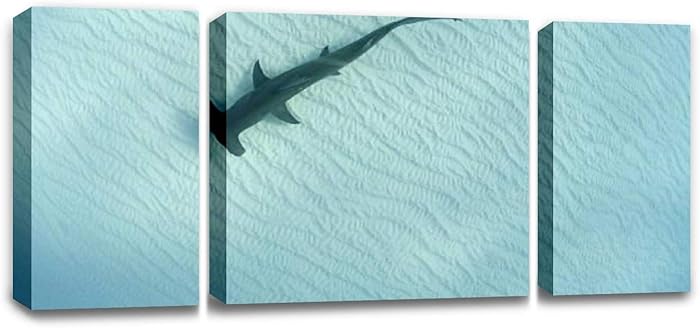 CCArtist Hammerhead Shark Sharks and Pictures Wall Decor Print on Canvas Modern Artwork Living Room Bedroom Painting Art Wall