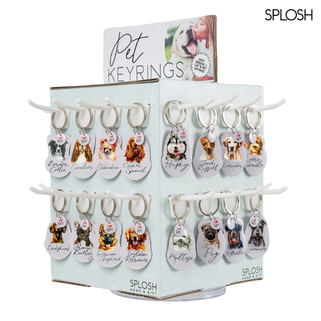 View 7