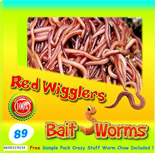 Red Wigglers (89 Count) Live, Healthy Red Worms for Composting & Fishing Bait