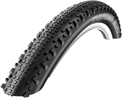 schwalbe thunder burt 29 x 2.1