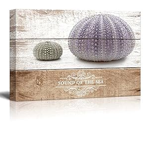 Marine Theme Canvas Wall Art - Beautiful Sea Urchin - Giclee Print Modern Wall Art | Stretched Gallery Wrap Ready to Hang Home Decoration - 12x18 inches