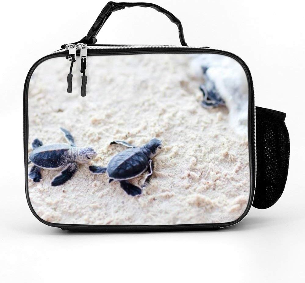 The 8 Best Ninja Turtles Lunch Pal