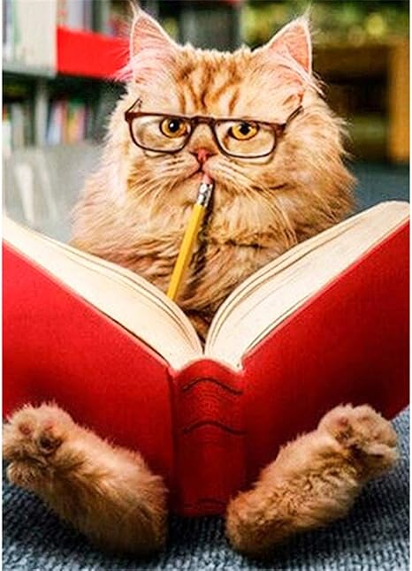 Amazon Com Paint By Number Kits Cat Reading Book 16x20 Inch Linen Canvas Paintworks Digital Oil Painting Canvas Kits For Adults Children Kids Decorations Gifts With Frame Toys Games