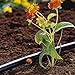 GARDENA 1350-U 3/16-Inch By 49-Feet Supply Pipe for Micro Drip System