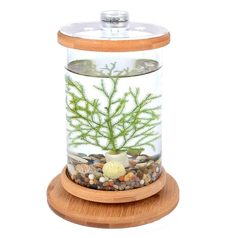 Norgail Creative Rotary Aquarium Betta Mini Fish Tank With Led Lighting Desktop Bowl Round Aquarium Decoration For Home Living Room Bedroom Office