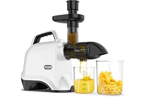 Juicer Machines, FEZEN Slow Masticating Juicer Easy to Clean, 95% Juice Yield, Reverse Function & Quiet Motor & Portable Handle, Brush & Recipe, Cold Press Juicer for Vegetables and Fruits (White)