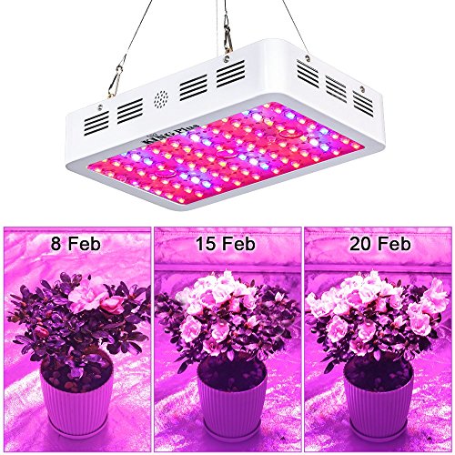 King Plus 1000w LED Grow Light Double Chips Full Spectrum with UV...