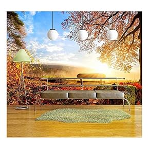 Autumn Landscape with The Sun Warmly Illumining a Bench Under a Tree - Removable Wall Mural | Self-Adhesive Large Wallpaper - 66x96 inches