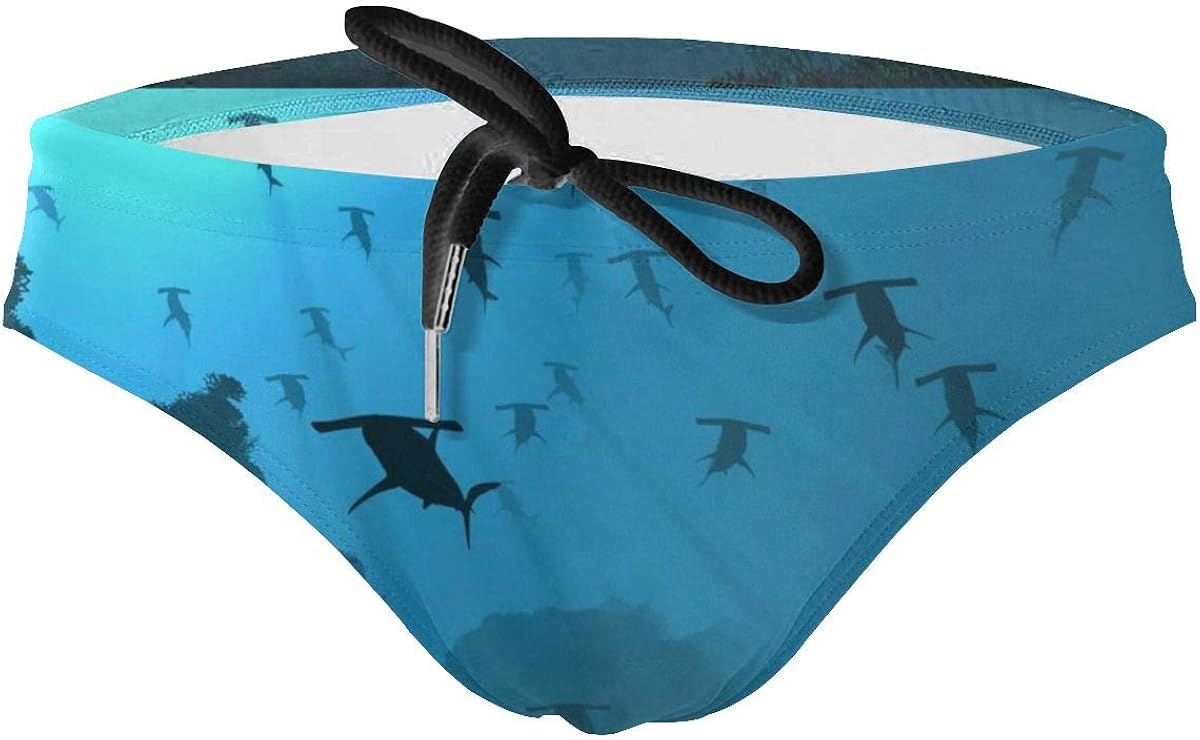 NiYoung Men's Low-Rise Swim Beach Briefs Bulge Underwear Trunks