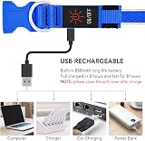 YFbrite Light Up Dog Collar USB Rechargeable LED Blue Medium view 3