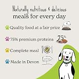 Forthglade Wet Dog Food Beef with Vegetables 18 x 395g Trays Grain Free view 6