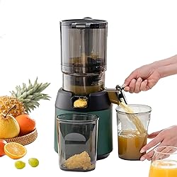 300W Slow Juicer - 13cm Feeding Chute, Portable