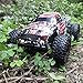 Fistone RC Car 2.4G High Speed Racing Cars 20km/h 1:16 Beast Radio Control Monster Truck Rock Off-Road Vehicle Buggy Hobby Electronic Game Toys Model (Red)