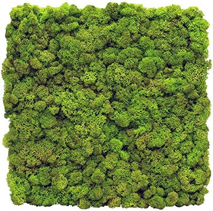 Scandia Moss 'SM Panel' Fire Safe DIY Panel : Interior Finish - Construction Finish - Architectural Finish - Indoor Decor