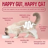 Scrumbles All Natural Dry Cat Food with Chicken and Salmon 2.5 Kg Pink Bag view 9