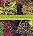 Coleus: Rainbow Foliage for Containers and Gardens by Ray Rogers