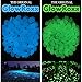 Glow Roxx - 100 Pcs (Blue) of Glow in the Dark Rocks Perfect Accent Pebbles for your Driveway, Pathway, Wedding Favors and Decorative Fairy Garden - As seen on Pinterest and Instagram …
