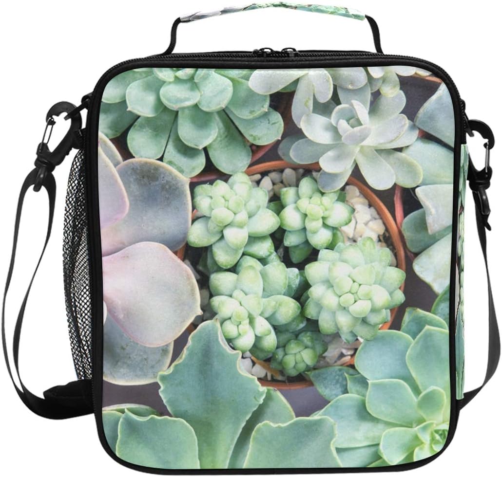 succulent lunch bag