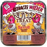 C&amp;S Products NuttyTreat Wild Bird Suet [Set of 4]