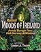 Mystical Moods of Ireland, Vol. VI: Portals Through Time: Irish Doorways & Windows (Volume 6) by James A. Truett