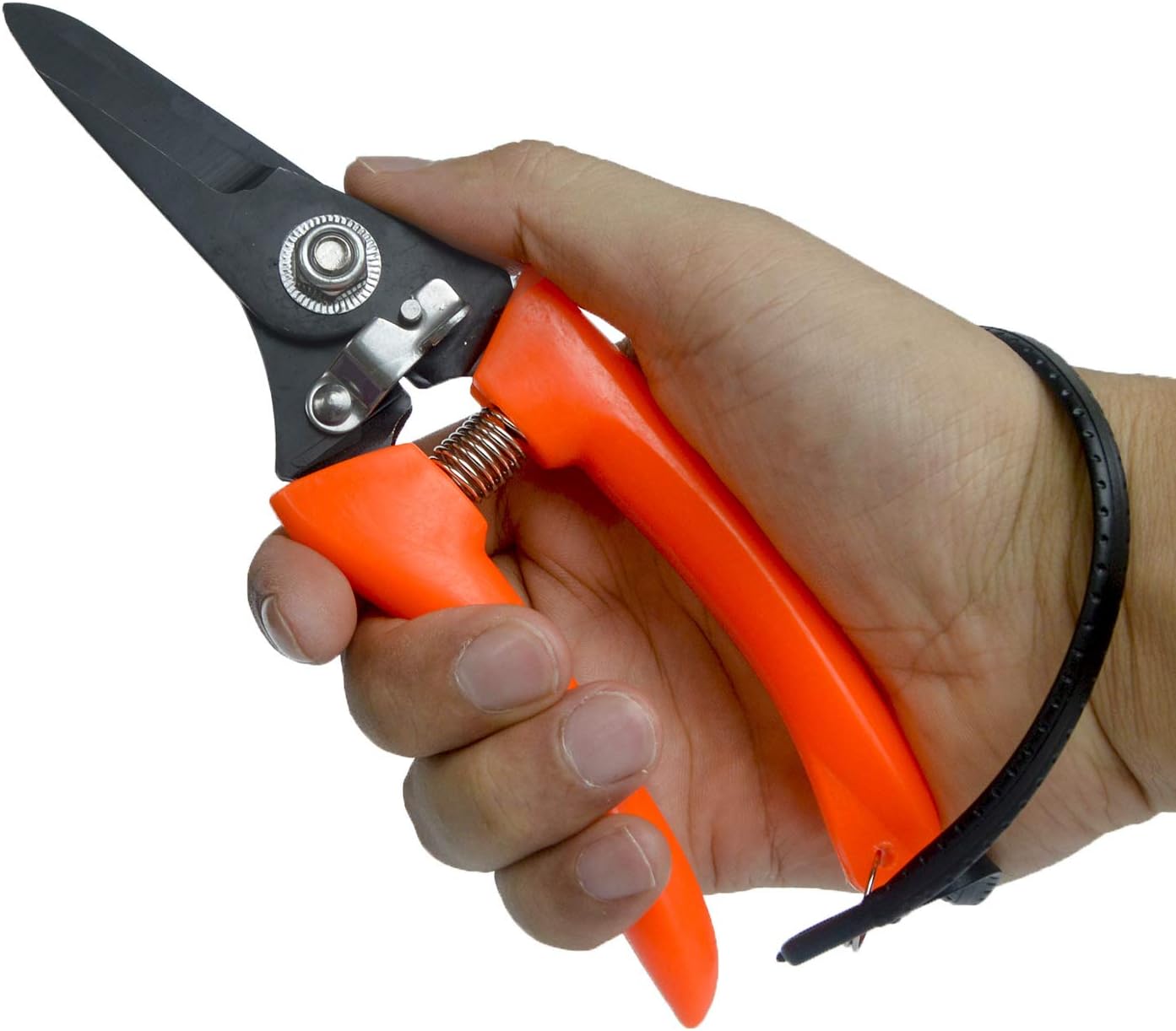 Foot Rot Shears Sheep Hoof Trimming Shear Goat Hooves Trimmers Multi-Use Hand Pruner Scissors, Black - Image 5