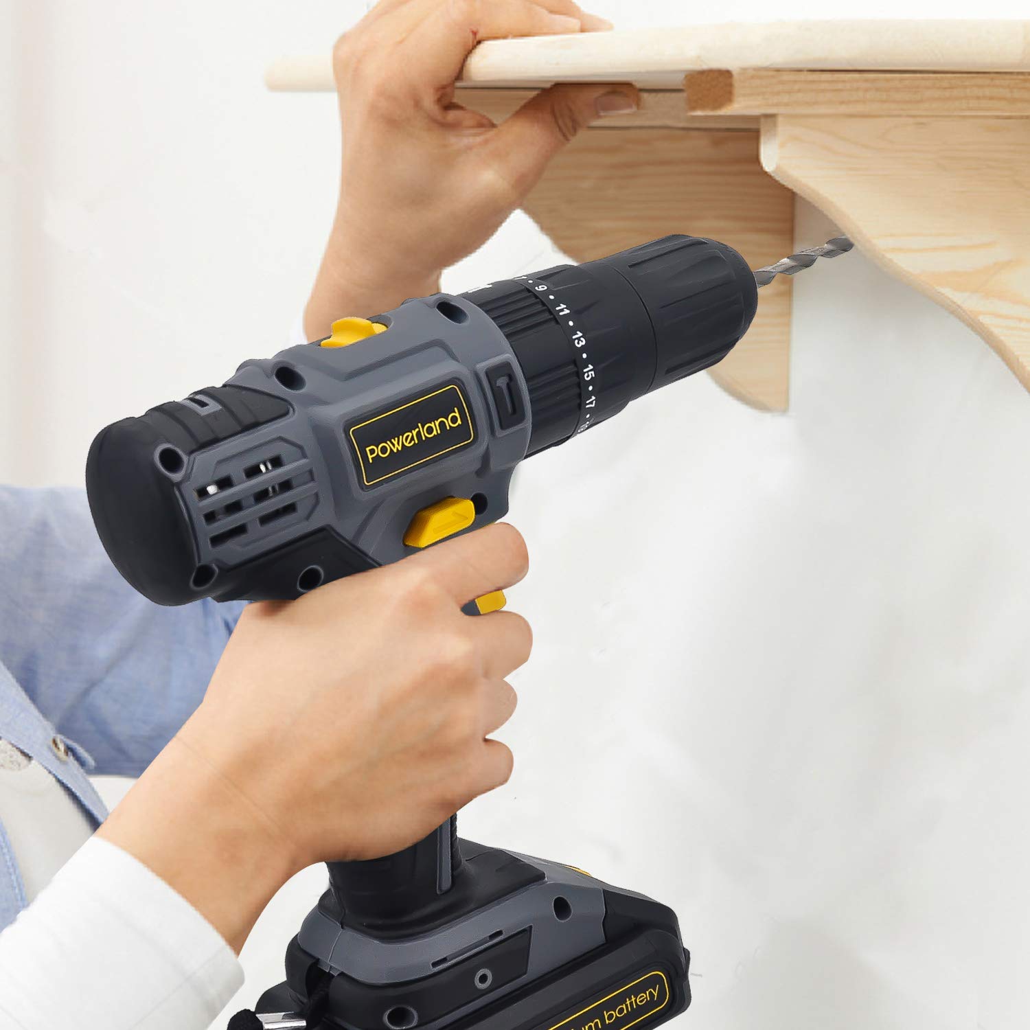 Prowerland D023 20V Batterie puissante d\'ion de Li de tournevis sans fil de conducteur de foret avec le chargeur (D023-N)