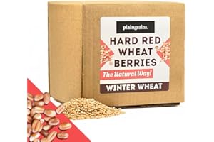 PlainGrains. The Natural Way | 5.5 LB Dry Organic Hard Red Winter Wheat Berries | 12% Protein by Volume | Uncooked, Unground, Whole Grain | Food Storage | Single Box