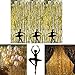Adorox Metallic Silver Gold Rainbow Foil Fringe Curtains Party Wedding Event Decoration (Metallic Gold)