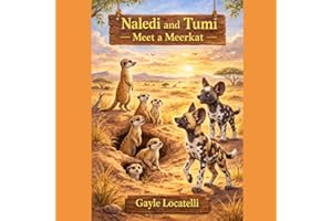 Naledi and Tumi meet a Meerkat