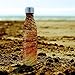 Tadge Goods Insulated Stainless Steel Water Bottle - Endangered Species Edition - Metal Thermo Style Bottles Great For Sports, Gym, Kids - Keeps Drinks Hot & Cold - 17 Oz Large