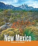 Front cover for the book New Mexico (Celebrate the States) by Melissa McDaniel