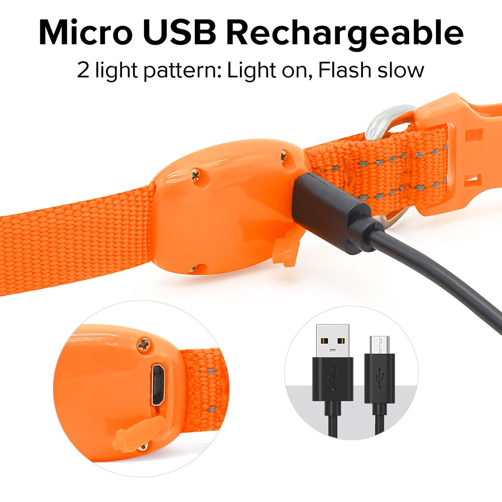 Clan_X Led Dog Collar, USB Rechargeable light up Pet Collar for small dogs, Glowing in the Dark Nylon Webbing Flashing Collar with Reflective Stitches Make Your Pets Visible & Safe (Orange)