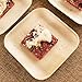 Verterra Compostable Palm Leaf 6-inch Square Disposable Plate, Heavy Duty, Eco-Friendly, Sustainable Dinnerware for Weddings, Events, Parties (300-Pack)